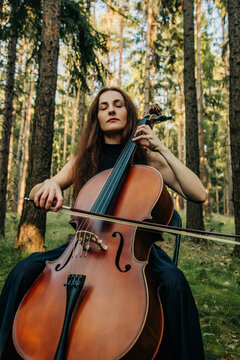Woman plays classical cello in the peaceful autumn pine forest