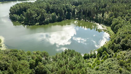 Naklejka premium Small pond nestled in a green summer forest, aerial Poland.