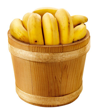 Bunch of ripe bananas in a rustic wooden bucket, isolated on a transparent background
