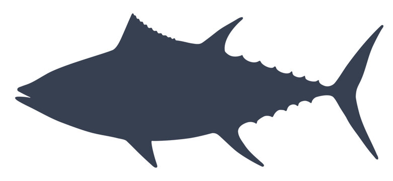 Tuna Fish, seafood, sketch. Dark silhouette oceanic marine tuna fish, clean sharp outlines graphic tuna fish, object symbol element shape style design template. Vector Illustration