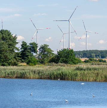 Reiher und Schw&auml;ne am Heiligsee in der Uckermark mit modernen Onshore-Windkraftanlagen im Bildhintergrund, Brandenburg, Deutschland