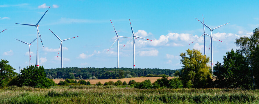 Schilfg&uuml;rtel am Ufer des Heiligsee mit modernen Onshore-Windkraftanlagen im Bildhintergrund, Brandenburg, Deutschland