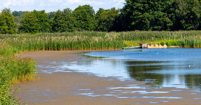 Naturnahe Uferlandschaft am Heligsee mit Schilfg&uuml;rtel, flachem Wasserbereich und Wasserv&ouml;geln, Uckermark, Brandenburg, Deutschland