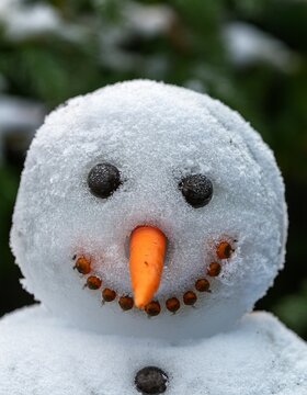Close up of snowman face with carrot nose covered by frost in the garden