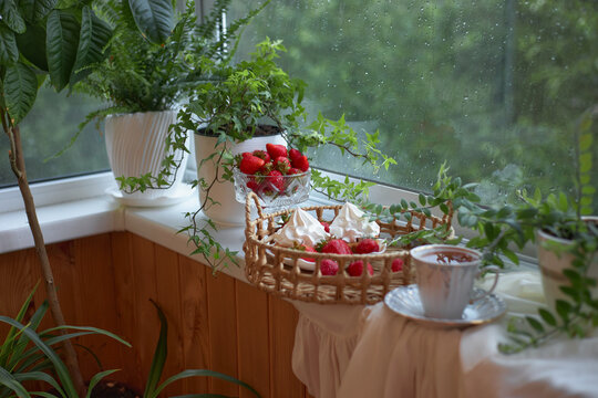 A cozy indoor setting shows a basket of strawberries near a window filled with plants. The rain falls outside, creating a nice atmosphere. A cup is placed on the table by the window