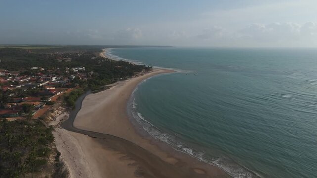 Aerial view of a windblown row of palm trees along a curving beach coastline