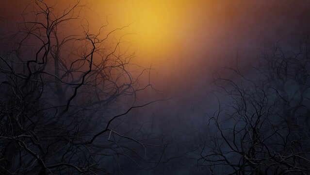 Fog covers an area with dark, bare trees silhouetted against an orange and yellow sunset. scene takes place in a forest during the evening. 3d render