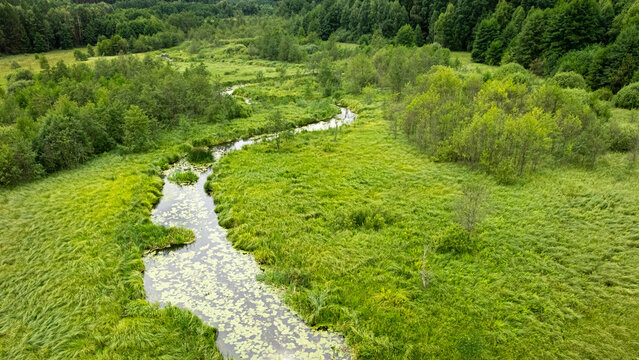 Flying above a winding river in dense green forest, Poland.