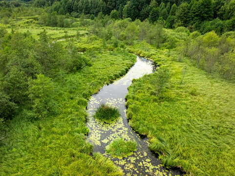 Curvy river coursing through green Polish woods, summer drone shot.