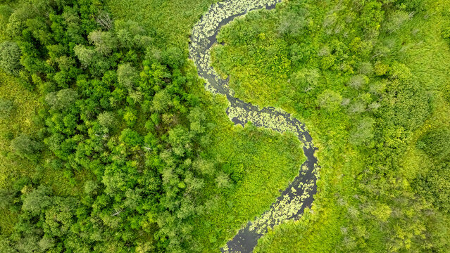 Bird's-eye view of winding river through green woodland, Poland.