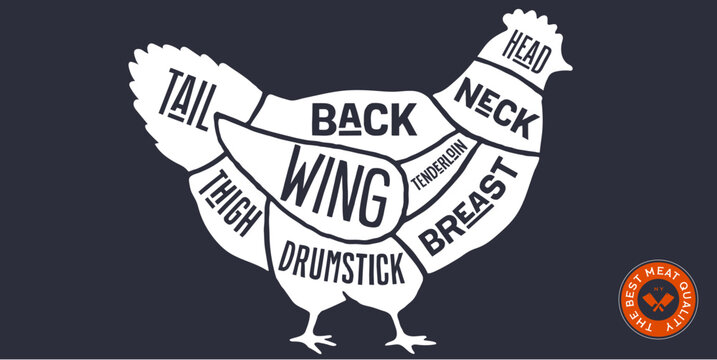 Chicken, Hen, hand-drawn butcher cuts meat guide. Chalkboard butcher chicken chart hen silhouette scheme, chicken cuts chart butcher shop poster diagram, meat guide hen cuts chart. Vector illustration