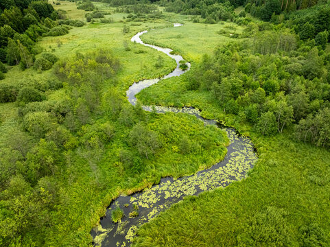 Sinuous river flowing amid green summer forest, aerial view, Poland.