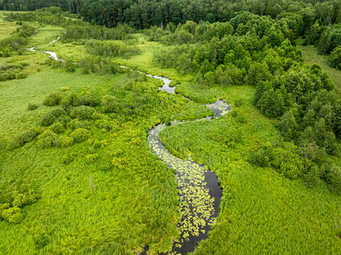 Top-down drone view of winding river in green Polish forest.