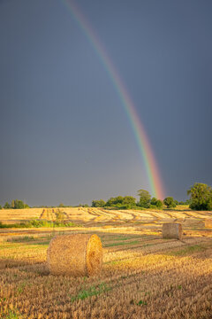 Post-rain rainbow over hay bales on a rural field, sunset.