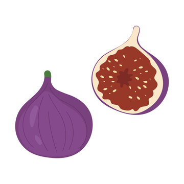 Flat vector illustration of a whole fig and a half fig displayed together on a clean background.
