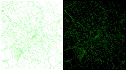 Fototapeta premium Abstract green city map network, digital urban grid illustration, glowing neural connection lines on black and white backgrounds