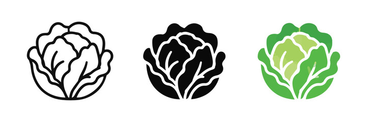 Obraz premium Fresh Lettuce Leafy Vegetable Food Icon