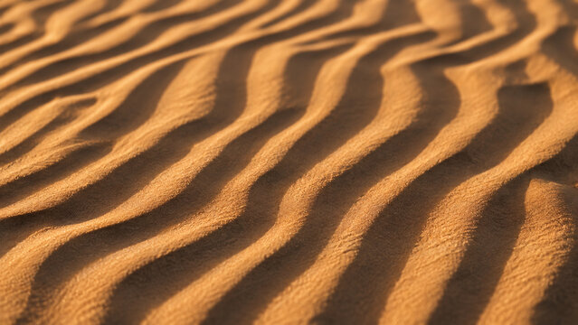 Golden desert sand dunes featuring elegant wind-swept ripple patterns with soft shadows cast across the fine golden grains