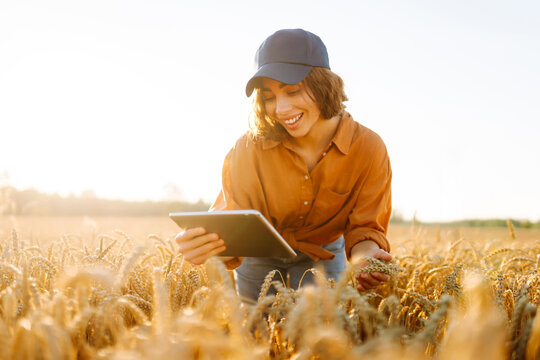 Young female farmer works in field with digital tablet at sunset. Female agronomist uses a digital tablet in a golden wheat field. Concept of agriculture, technology. Smart farming.
