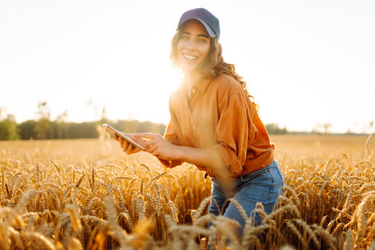 Young female farmer works in field with digital tablet at sunset. Female agronomist uses a digital tablet in a golden wheat field. Concept of agriculture, technology. Smart farming.
