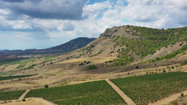 Aerial view of lush green vineyards spread across the rolling hills and rugged terrain under a cloudy sky in Crimea.