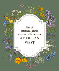 Obraz premium Medicinal herbs of American West vector