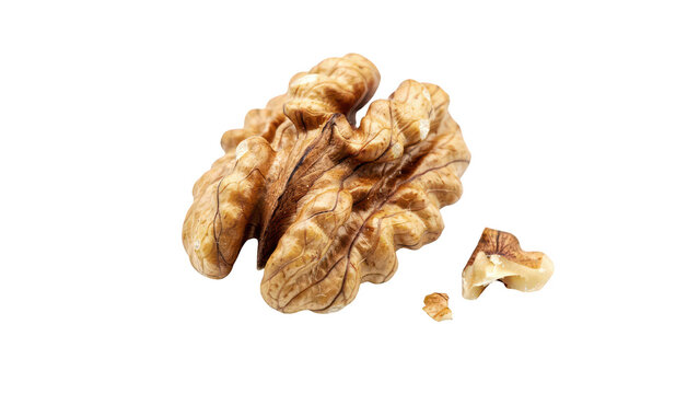 A single raw shelled walnut kernel with small broken pieces isolated on a black background, showing detailed texture and light brown color