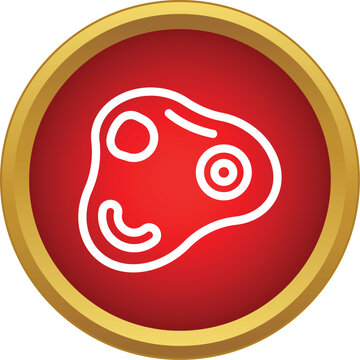 Microorganism cell structure with nucleus and organelles in a red circle icon