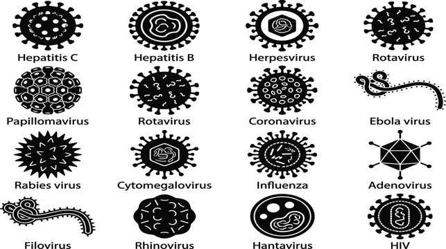 Medical Virus and Pathogen Icons Vector Set with Hepatitis, Herpesvirus, Coronavirus, Ebola, Influenza, HIV, and Microscopic Germ Silhouettes for Science Graphic Designs