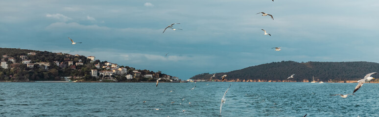 Naklejka premium Scenic view of the Bosphorus in Istanbul with seagulls flying overhead, banner 