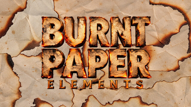 Burnt Paper Elements