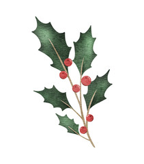 Fototapeta premium Christmas holly branches with red berries. Emerald ilex leaves. Botanical Winterberry. Hand painted watercolor illustration for wedding invitation, pack, Christmas card