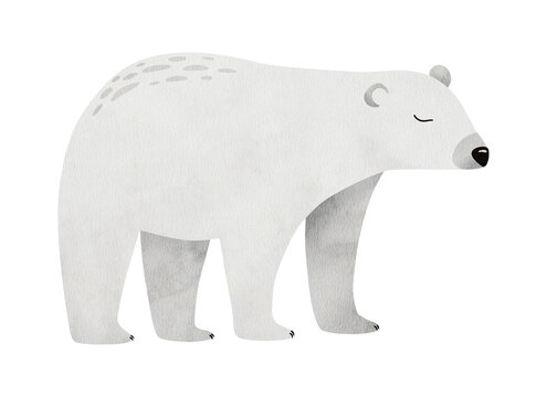 Watercolor cute white polar bear. Hand drawn illustration of simple arctic animal isolated on background. for kids goods,linen, pajamas and childrens room