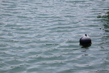 floating buoy © 祐三 近藤