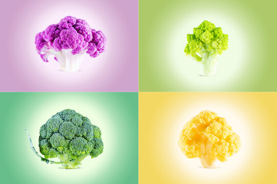 Multicolored cauliflower on a gradient background. Image collection.