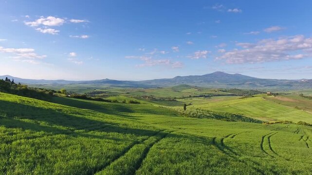 Aerial view of rolling green hills and lush fields under a clear blue sky in Tuscany, Italy.