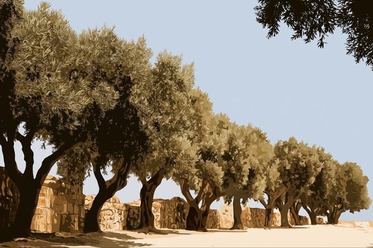 Posterized Style Olive Trees Along Stone Wall 