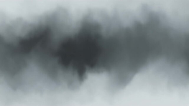 Ink Wash Monochrome Zen Background