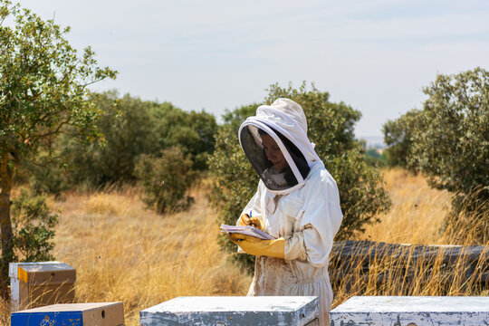 Beekeeper woman recording data inspecting honey production