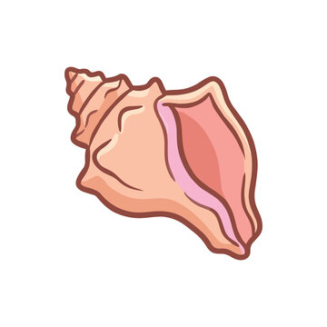 Cute Hand Drawn Pink Conch Seashell Illustration