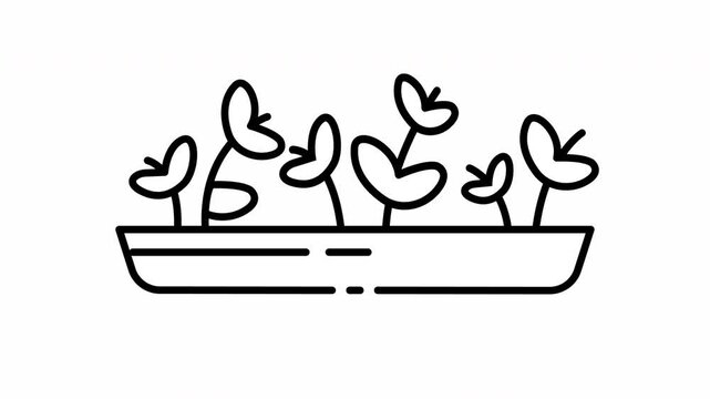 Hydroponic Tray Cultivation Technique Video Animation