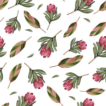 Botanical seamless pattern with pink protea and green leaves 