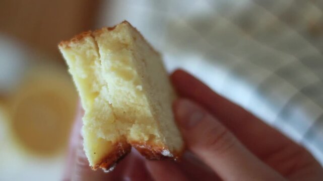 Hands holding slice of homemade sponge cake pie slice close up