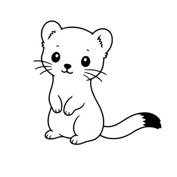 vector illustration of ermine