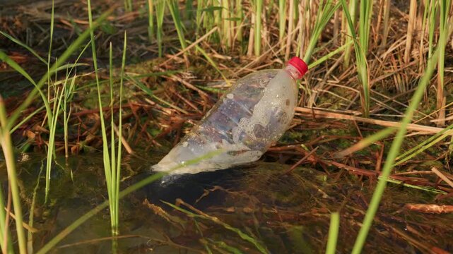 A discarded plastic bottle sits half-submerged in dirty muddy wetland water surrounded by green reeds. Murky foam settles inside the discarded trash under bright outdoor sunlight.