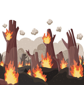 Wildfire Burning Forest with Charred Trees, Flames and Smoke