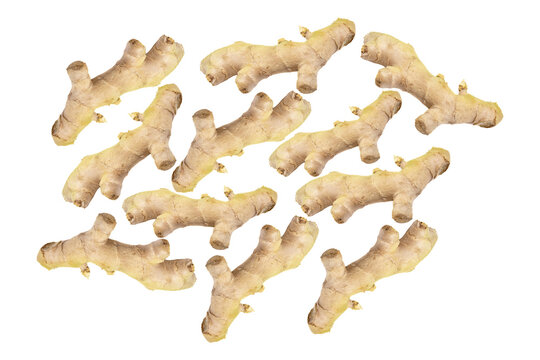 Multiple raw ginger root rhizomes arranged in a scattered pattern on a light yellow and white textured background