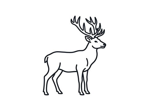 Simple deer with large antlers standing