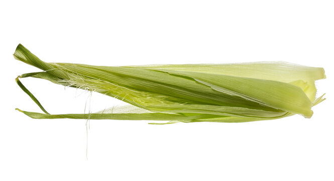 Fresh stringy corn, maize silk pile and with green leaves isolated on white background, clipping path 