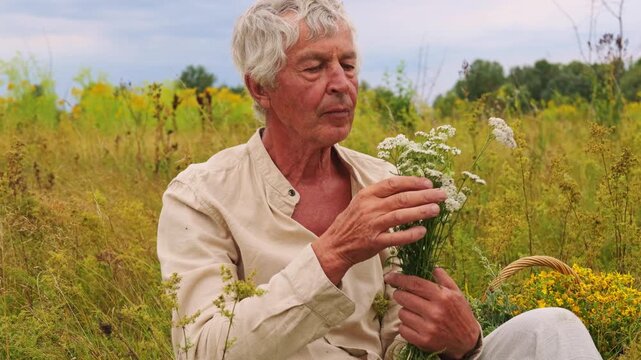 An herbalist sits in a field filled with wild plants, carefully smelling a bunch of fresh medicinal herbs. The sun is shining with scattered clouds in the sky